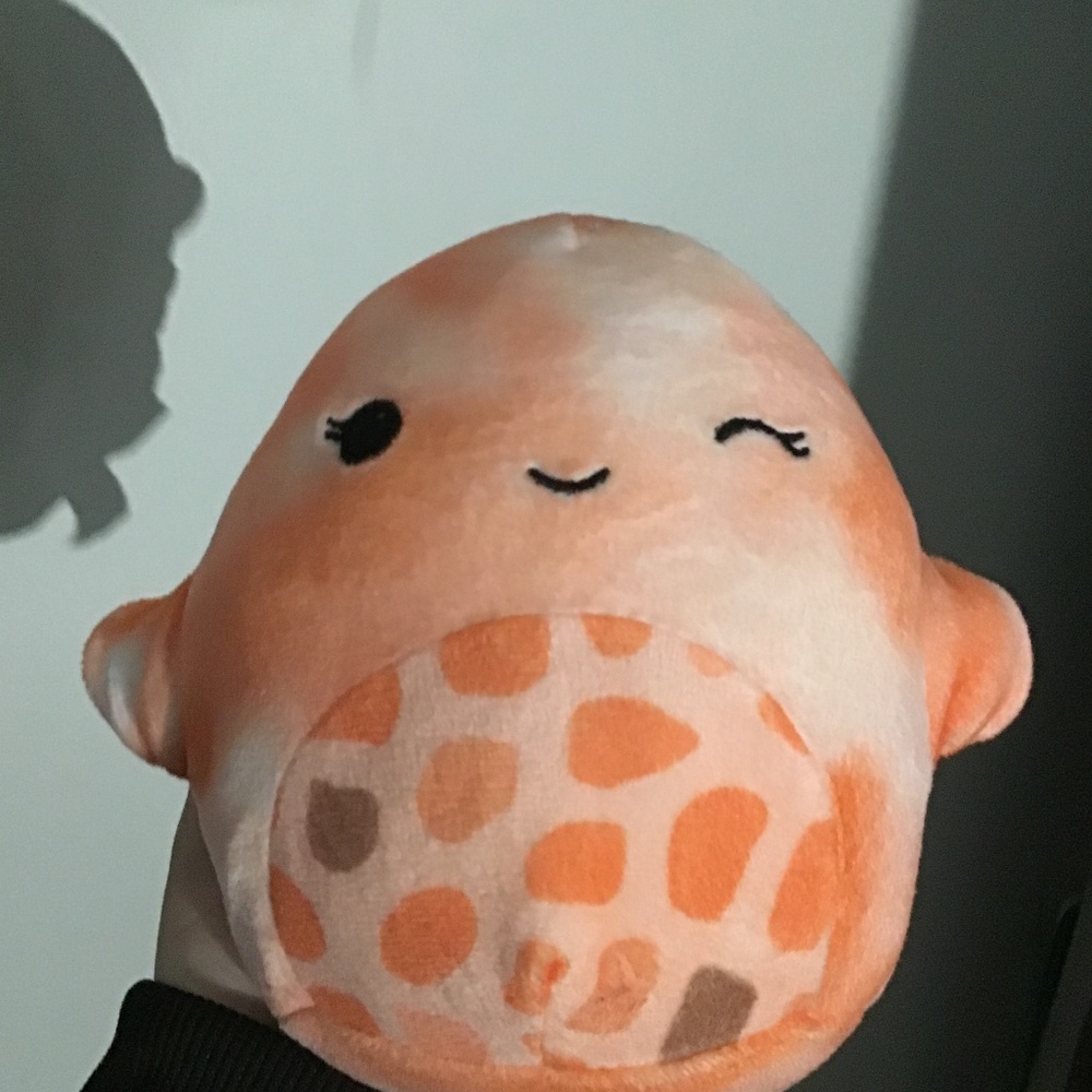 Starfish squish mellow